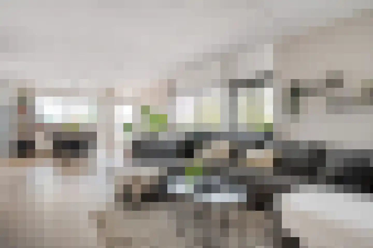 Mammoetveld 30 Zwolle thumbnail 13