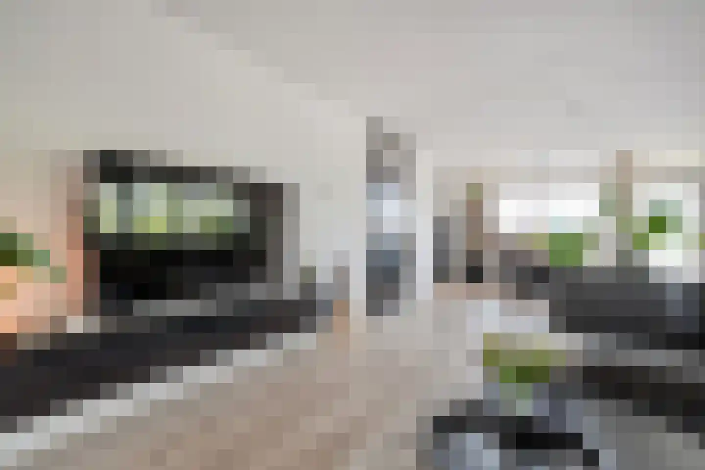 Mammoetveld 30 Zwolle thumbnail 14