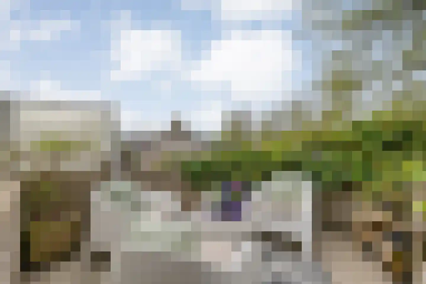 Mammoetveld 30 Zwolle thumbnail 18