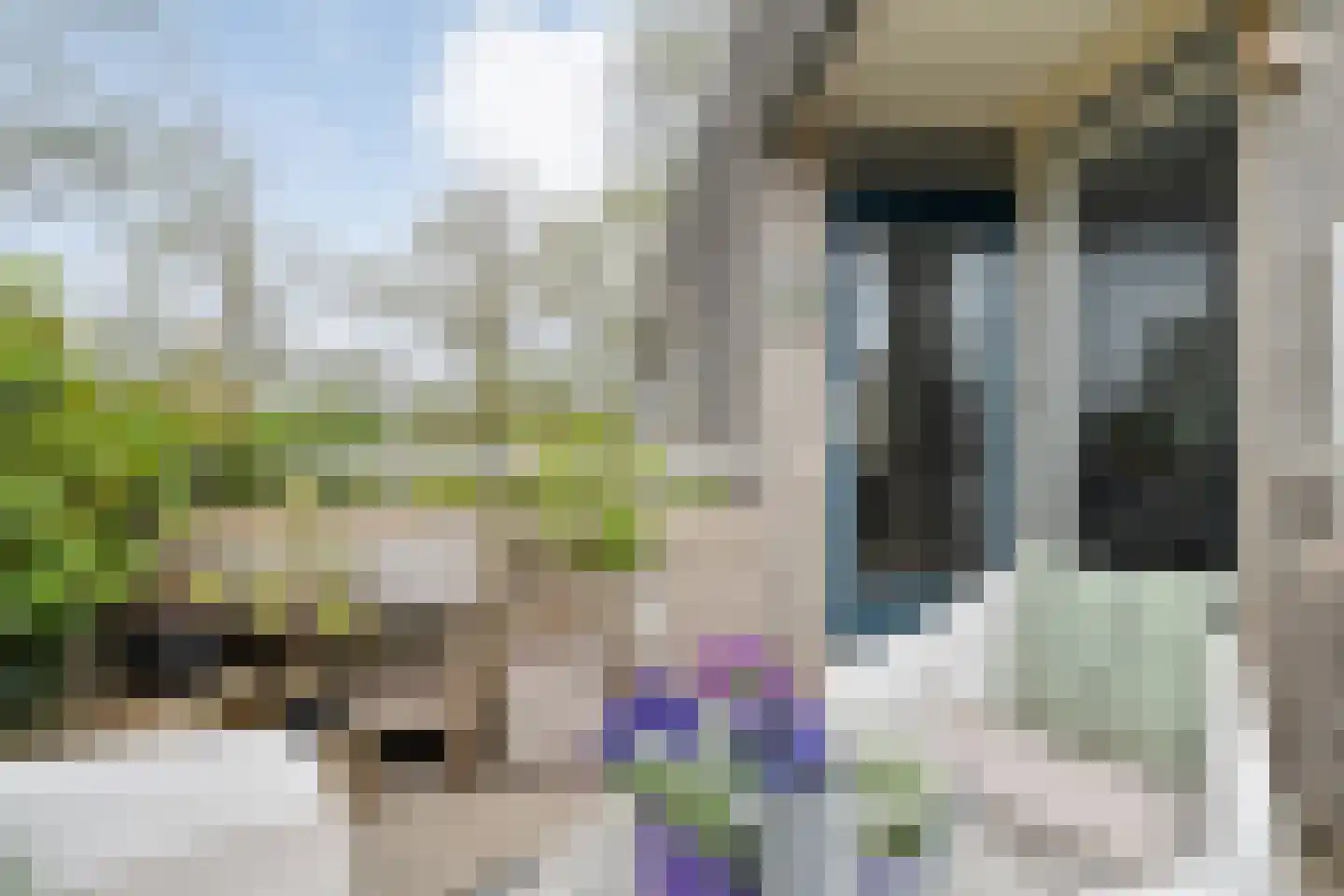Mammoetveld 30 Zwolle thumbnail 19