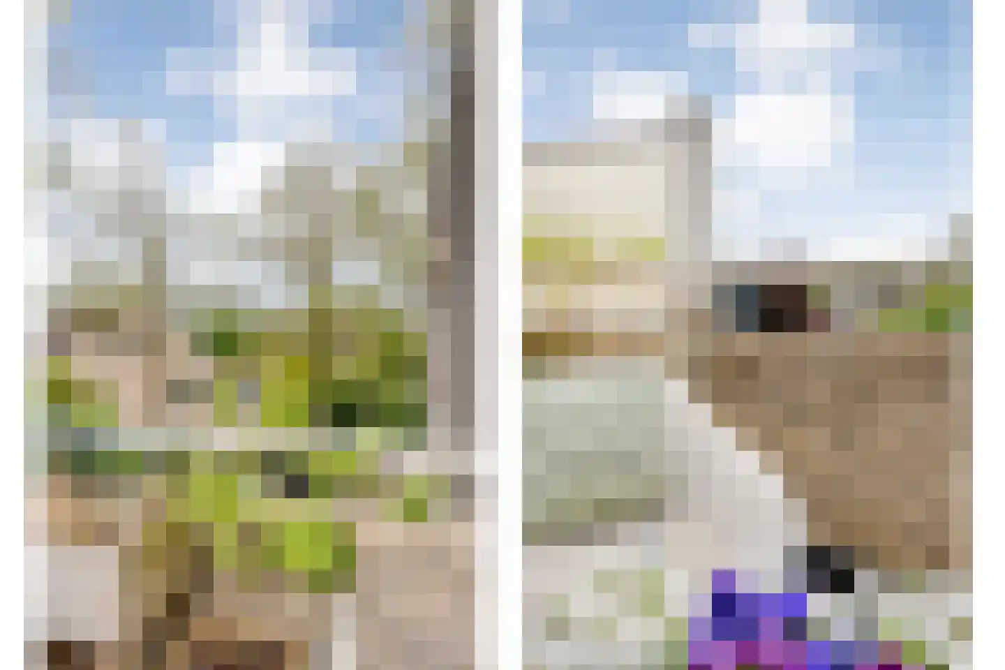 Mammoetveld 30 Zwolle thumbnail 20