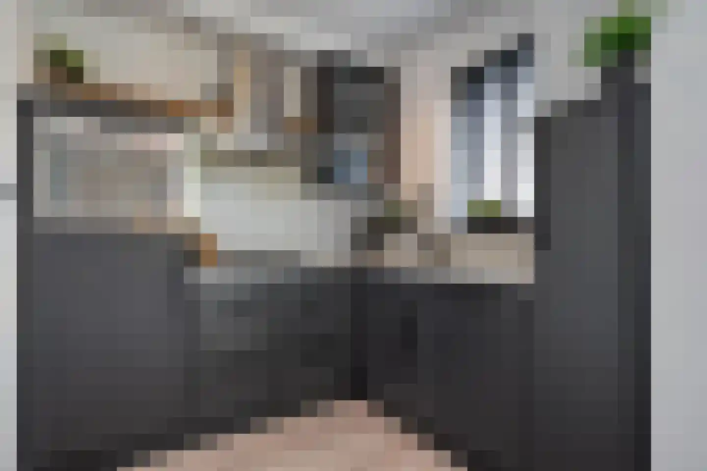 Mammoetveld 30 Zwolle thumbnail 21