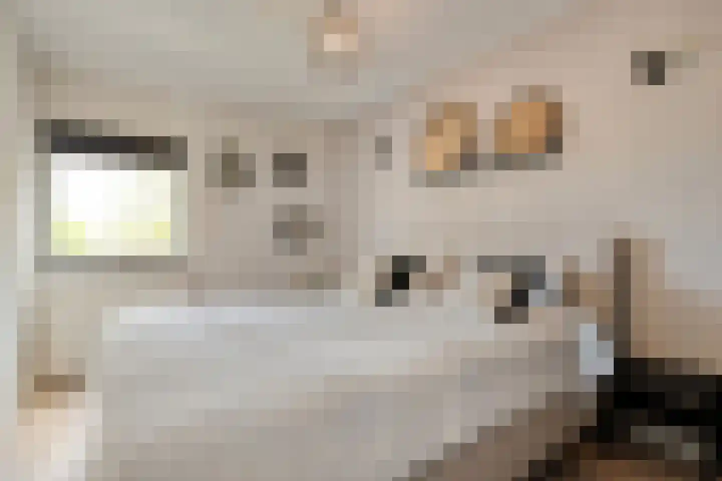 Mammoetveld 30 Zwolle thumbnail 24