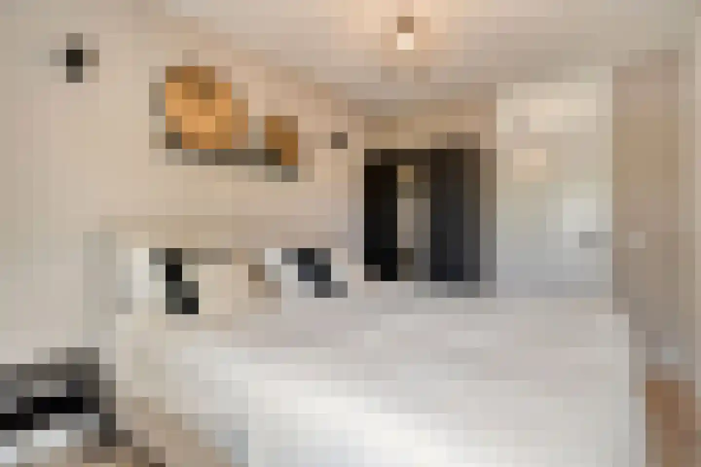 Mammoetveld 30 Zwolle thumbnail 25
