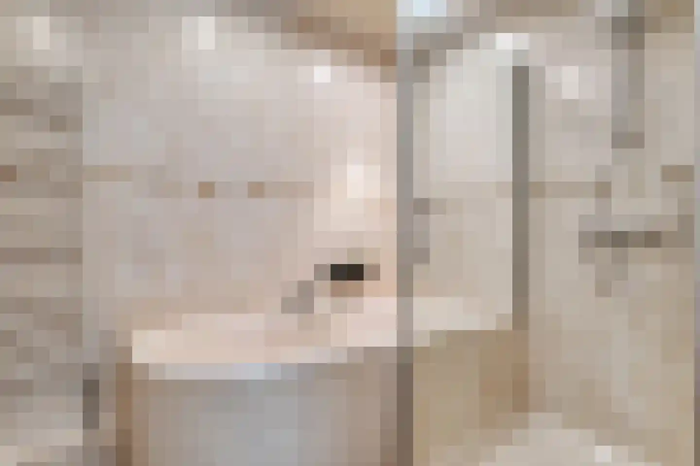Mammoetveld 30 Zwolle thumbnail 28