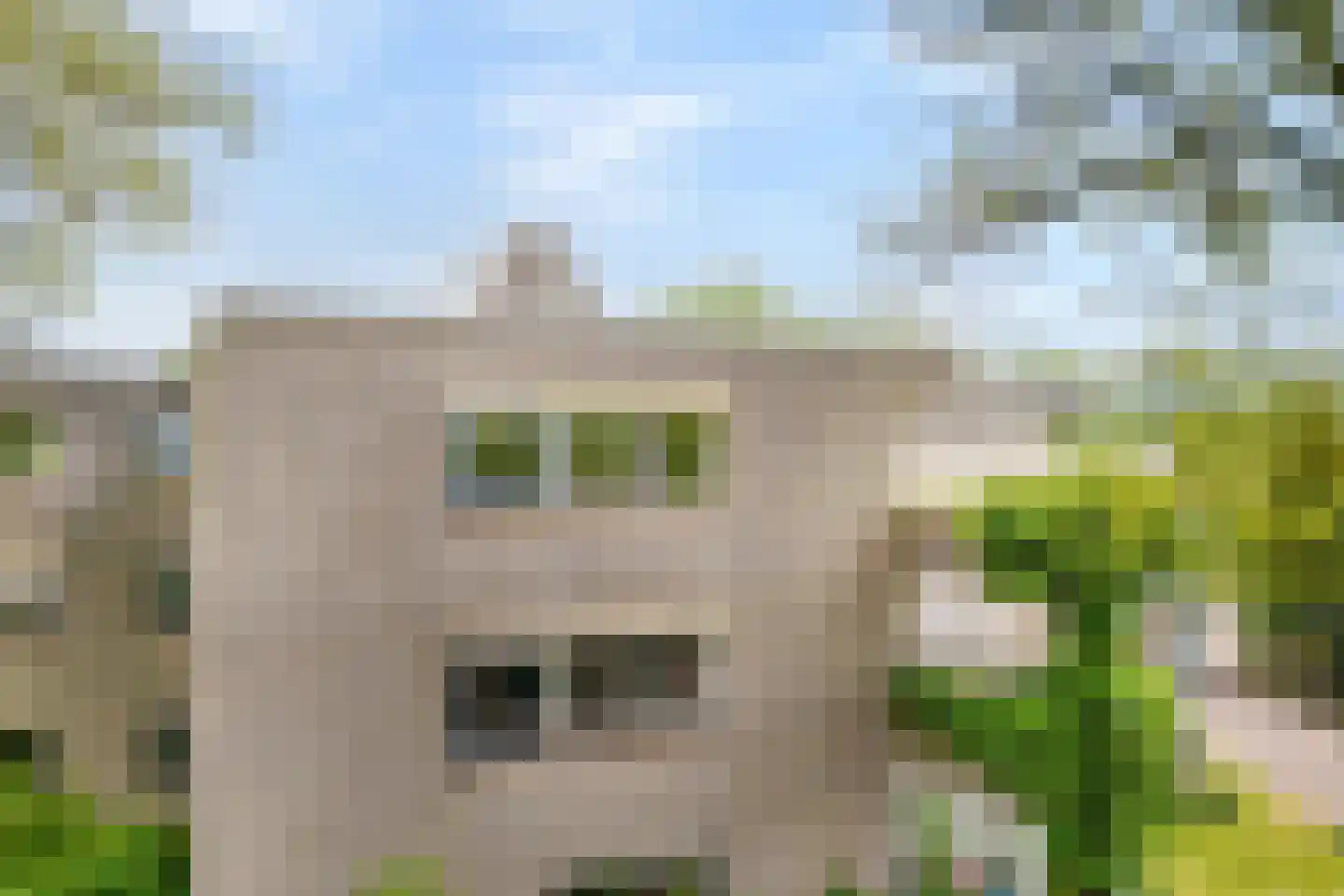 Mammoetveld 30 Zwolle thumbnail 31