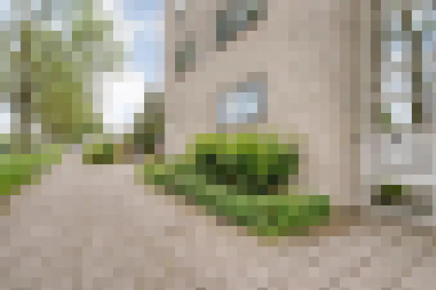 Mammoetveld 30 Zwolle thumbnail 35