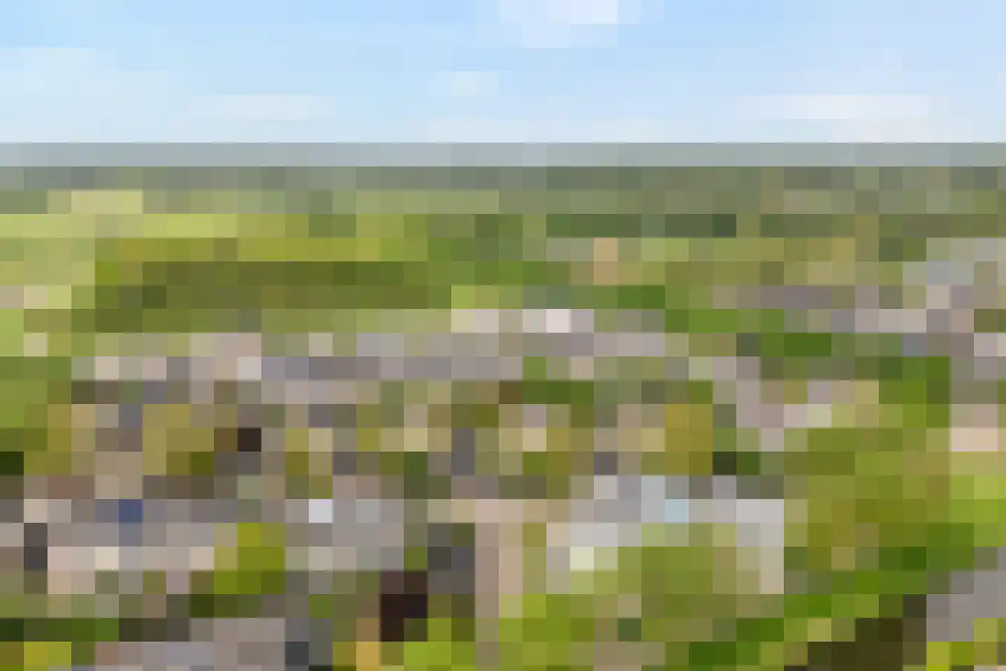 Mammoetveld 30 Zwolle thumbnail 36