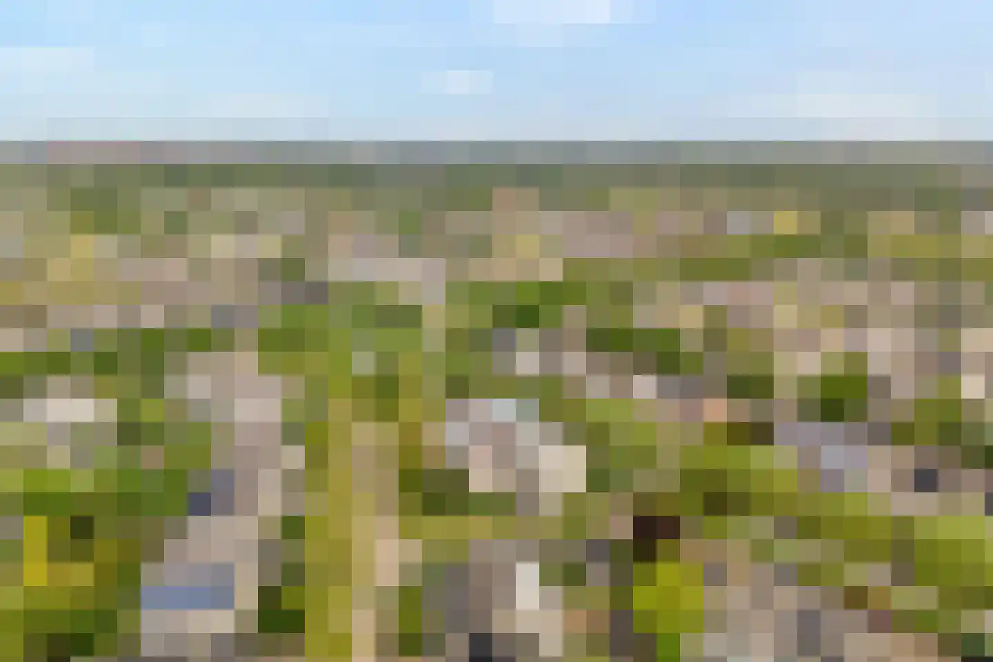 Mammoetveld 30 Zwolle thumbnail 37