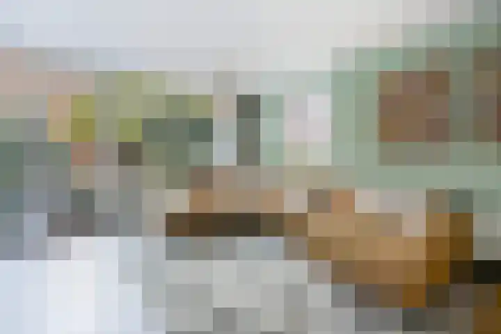Managuahof 50 Den Haag thumbnail 10