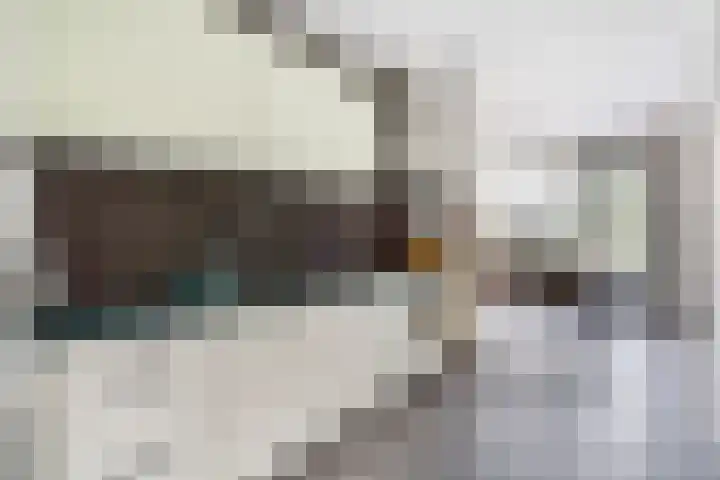 Managuahof 50 Den Haag thumbnail 12