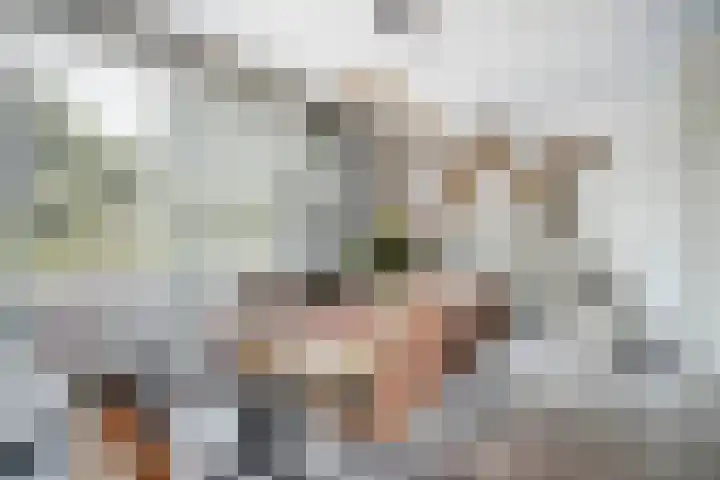 Managuahof 50 Den Haag thumbnail 13