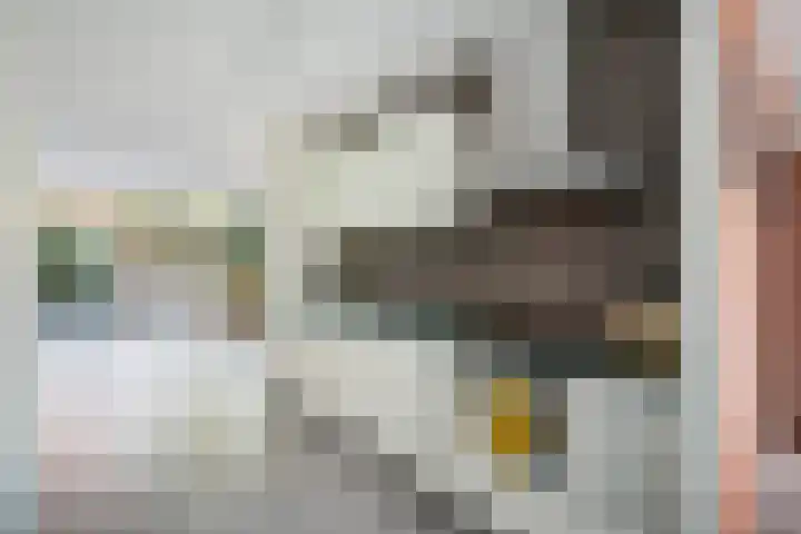 Managuahof 50 Den Haag thumbnail 15