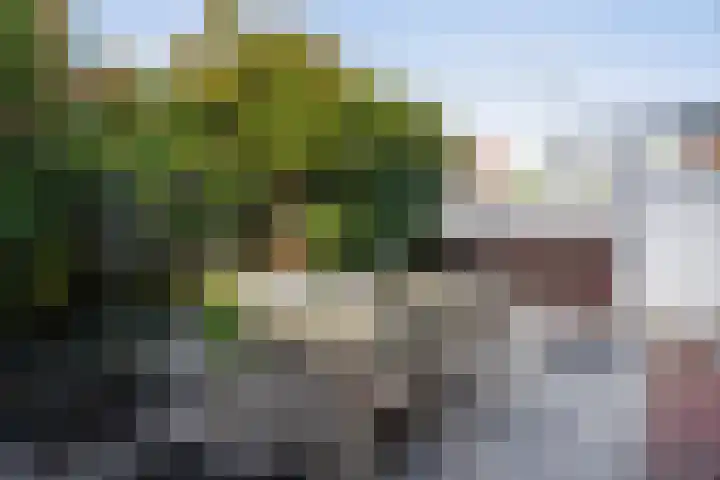 Managuahof 50 Den Haag thumbnail 16