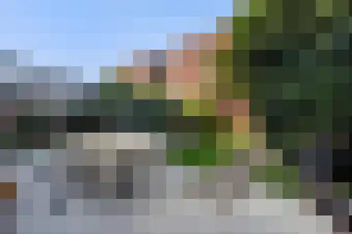 Managuahof 50 Den Haag thumbnail 17
