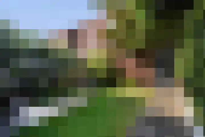 Managuahof 50 Den Haag thumbnail 18