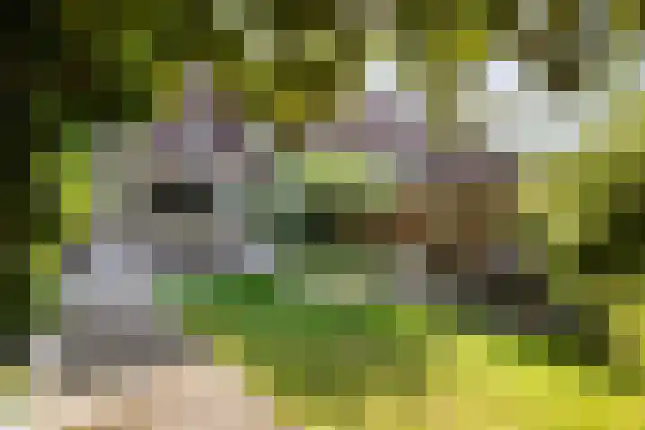 Managuahof 50 Den Haag thumbnail 4