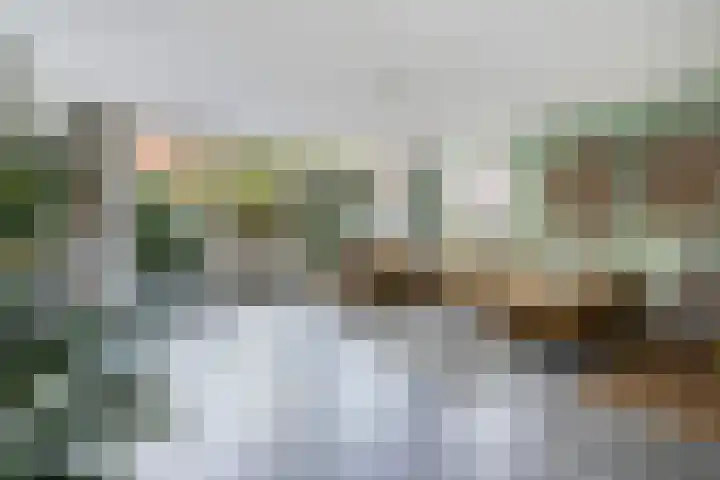 Managuahof 50 Den Haag thumbnail 9