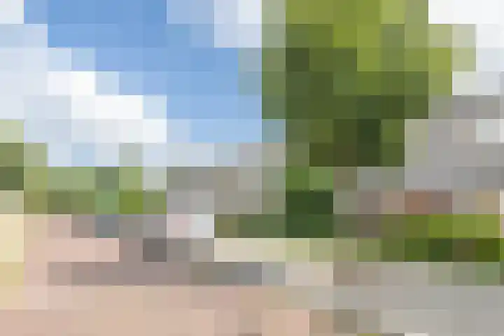 Mandarijnenstraat 30 1 Amsterdam thumbnail 15