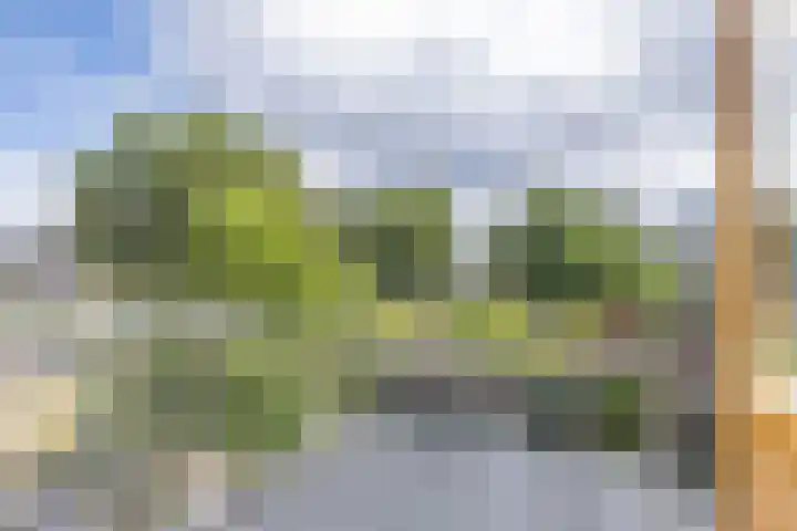 Mandarijnenstraat 30 1 Amsterdam thumbnail 8