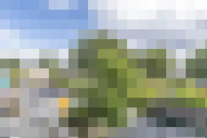 Mandarijnenstraat 30 1 Amsterdam thumbnail 9