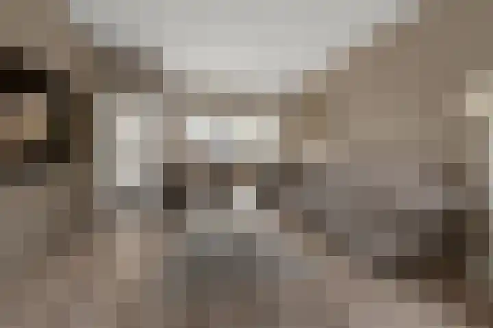 Mandarijnenstraat 51 Amsterdam thumbnail 10