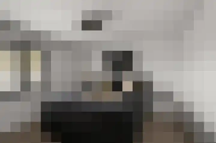 Mandarijnenstraat 51 Amsterdam thumbnail 18