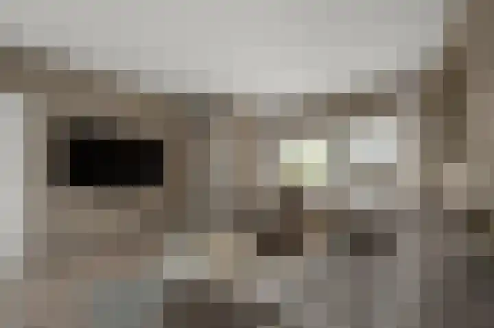 Mandarijnenstraat 51 Amsterdam thumbnail 4