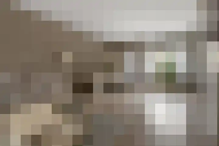 Mandarijnenstraat 51 Amsterdam thumbnail 6