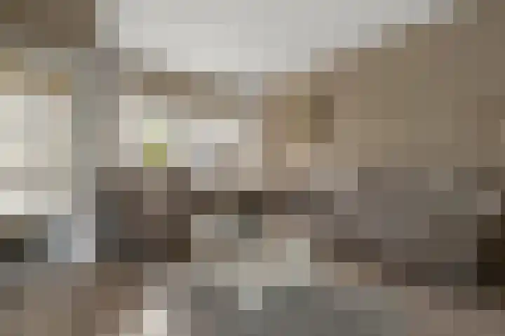 Mandarijnenstraat 51 Amsterdam thumbnail 9