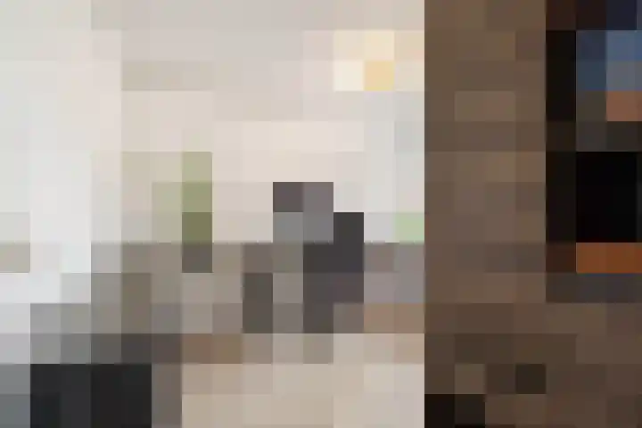 Mandarijnenstraat 63 Amsterdam thumbnail 18