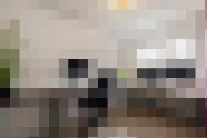 Mandarijnenstraat 63 Amsterdam thumbnail 19