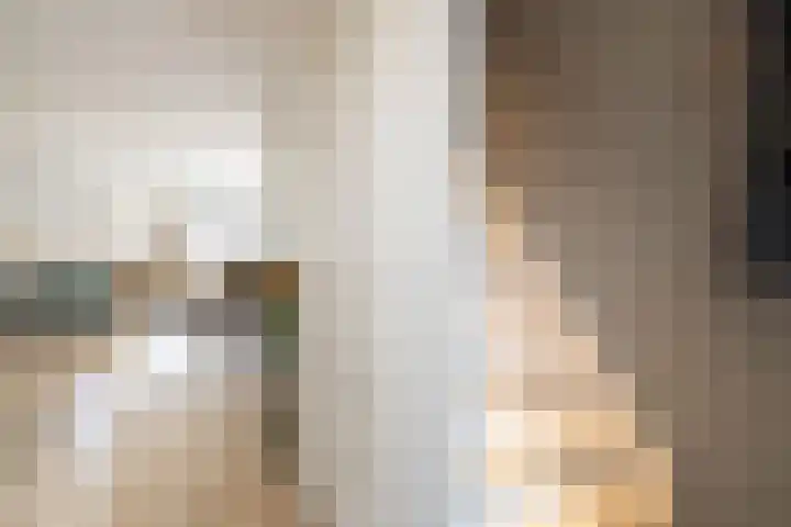 Mandarijnenstraat 63 Amsterdam thumbnail 6