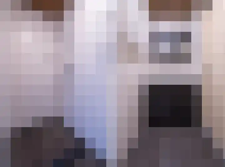 Mandarijngaard 10 Spijkenisse thumbnail 14