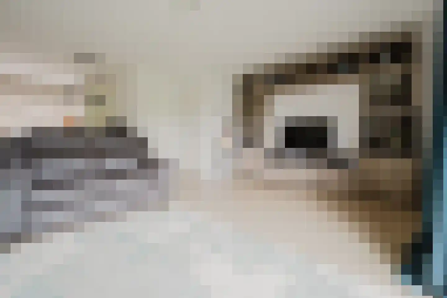 Mandarijngaard 22 Spijkenisse thumbnail 12