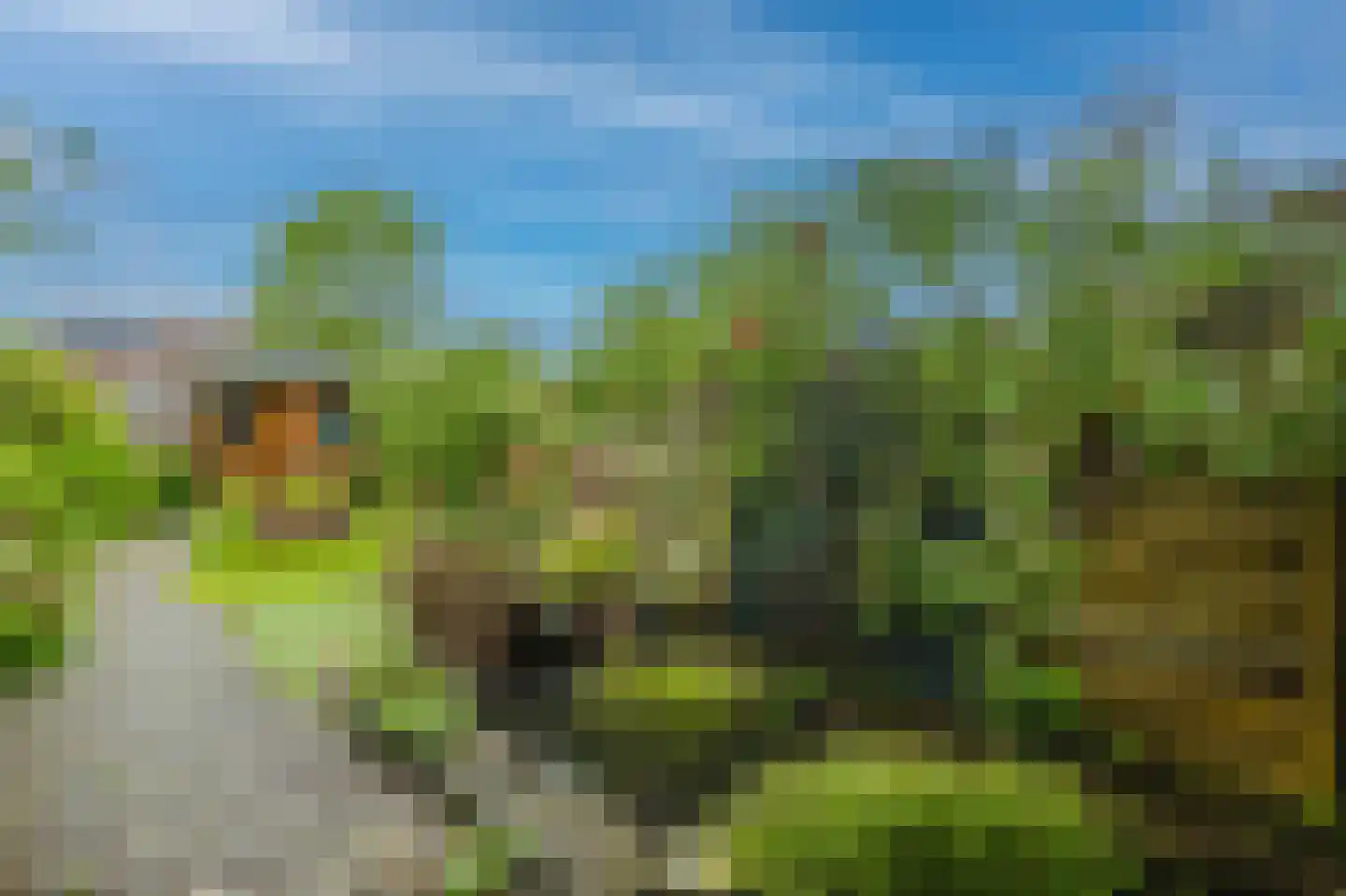 Mandarijngaard 22 Spijkenisse thumbnail 15