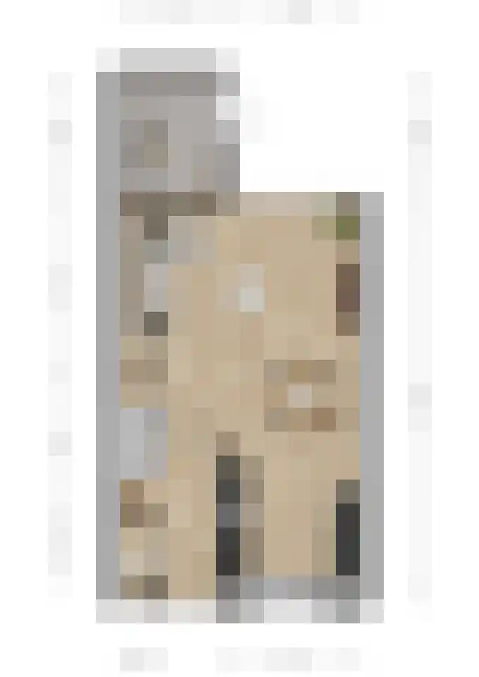 Mandarijngaard 22 Spijkenisse thumbnail 9