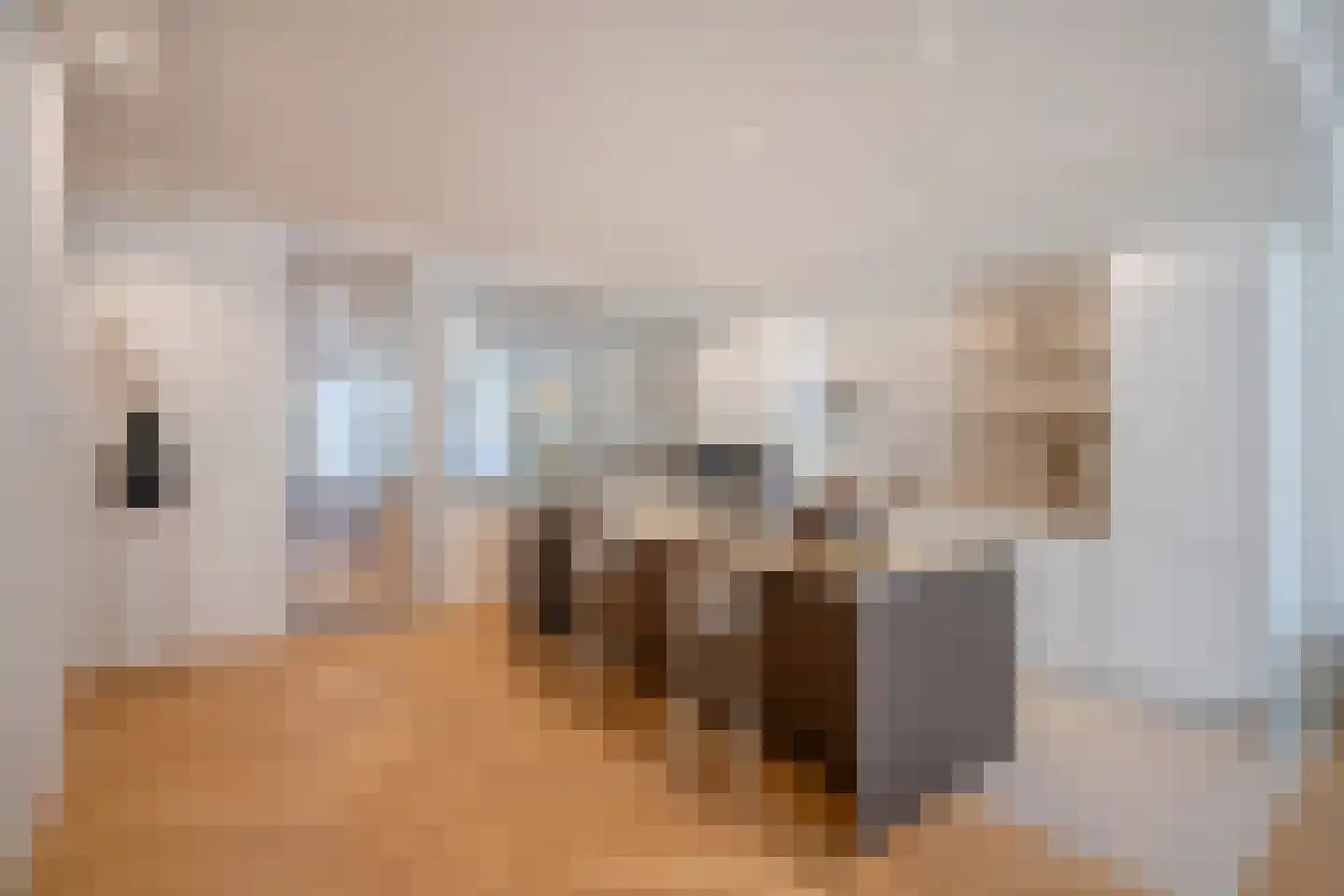 Mandarijnstraat 12 Den Haag thumbnail 12