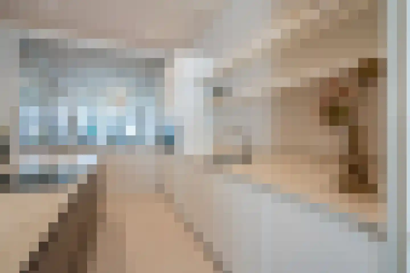 Mandarijnstraat 12 Den Haag thumbnail 18
