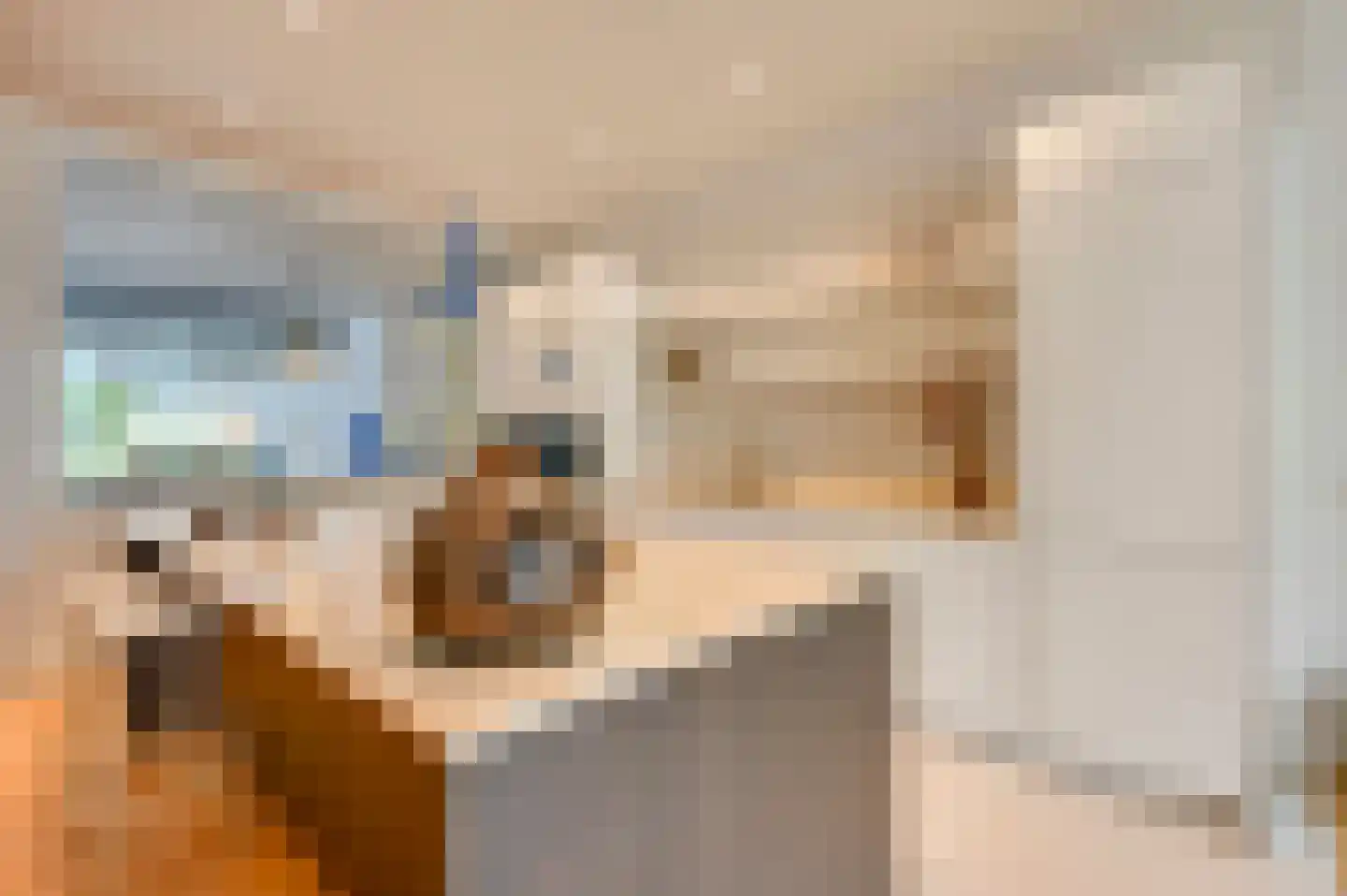 Mandarijnstraat 12 Den Haag thumbnail 19
