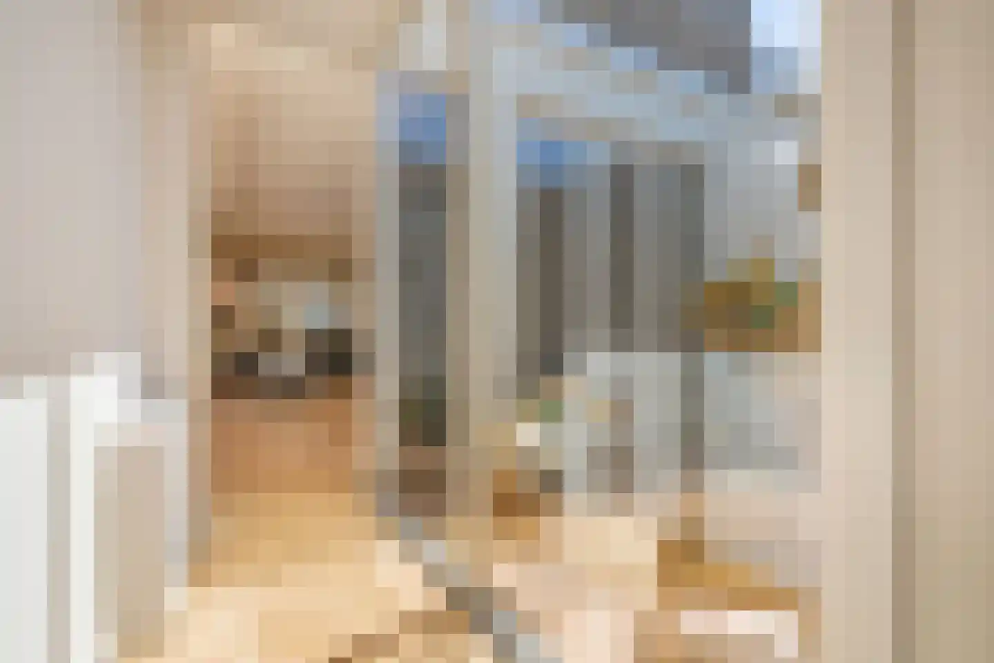 Mandarijnstraat 12 Den Haag thumbnail 22