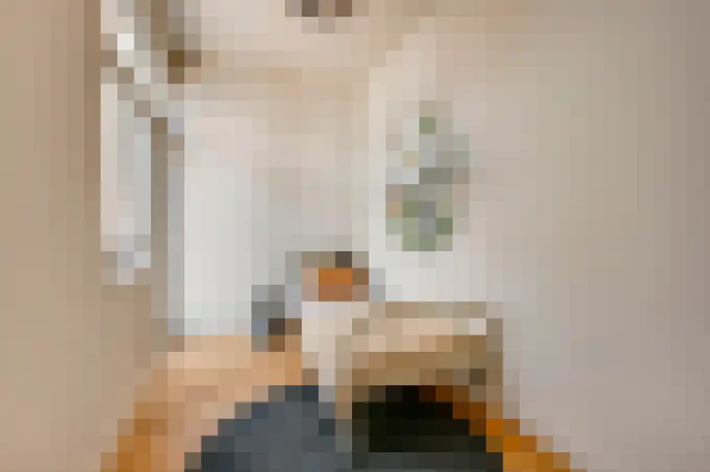 Mandarijnstraat 12 Den Haag thumbnail 34