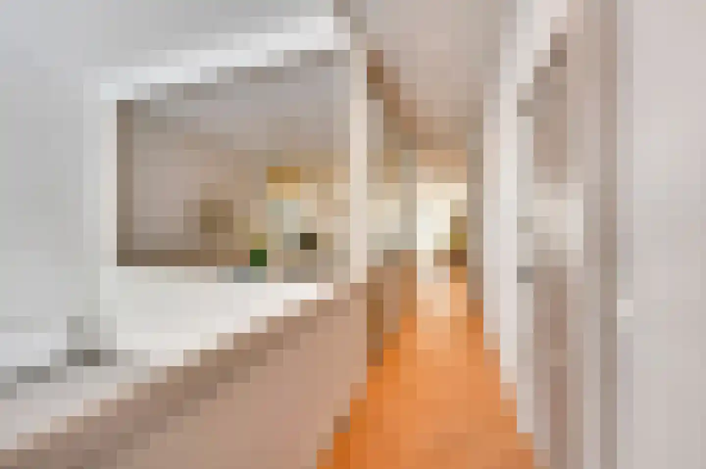 Mandarijnstraat 12 Den Haag thumbnail 7