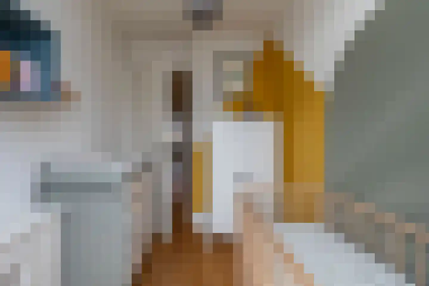 Mandarijnstraat 15 Den Haag thumbnail 32