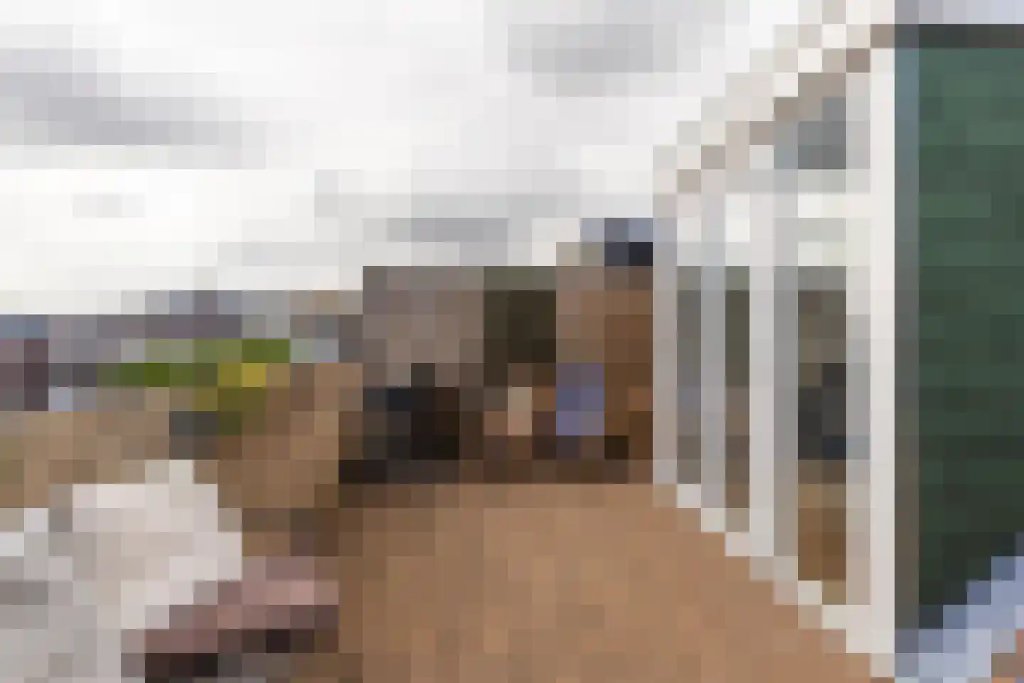 Mandarijnstraat 15 Den Haag thumbnail 37