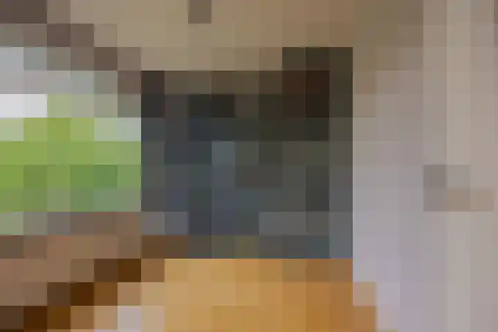 Mandarijnstraat 2 Nijmegen thumbnail 14