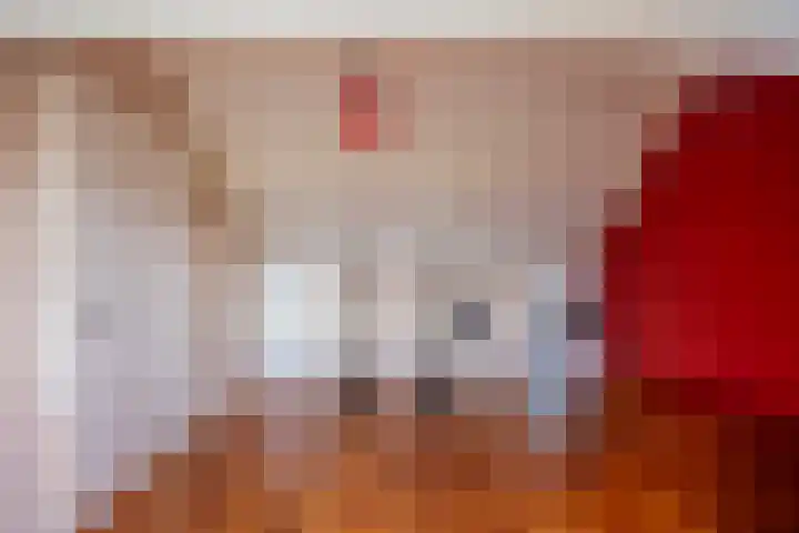 Mandarijnstraat 2 Nijmegen thumbnail 28