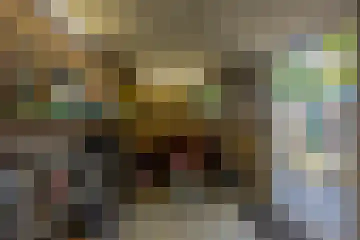 Mandarijnstraat 2 Nijmegen thumbnail 35