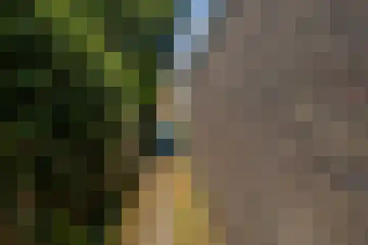 Mandarijnstraat 2 Nijmegen thumbnail 38