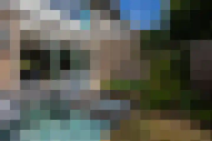 Mandarijnstraat 2 Nijmegen thumbnail 40